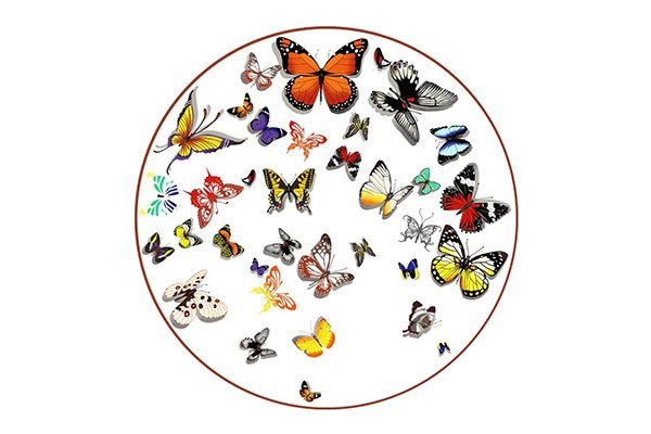 Butterfly Dinnerware Dinner Plate, set of 4